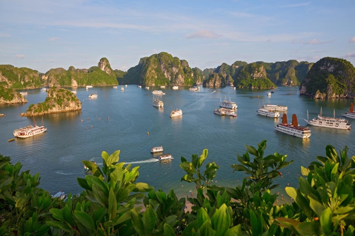 Cat Ba Kayak Adventures
