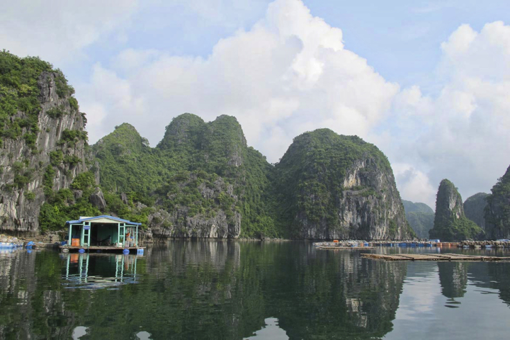 Cat Ba Kayak Adventures