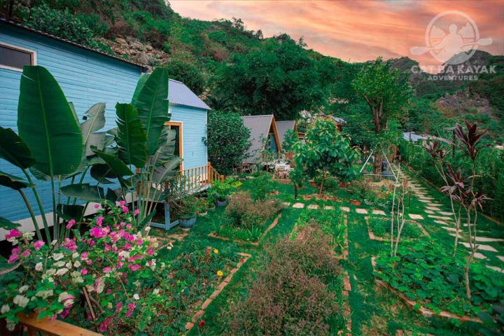 Cat Ba Blue Lagoon Homestay